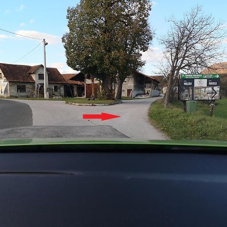 Guesthouse Braslovce - Celje ภายนอก รูปภาพ