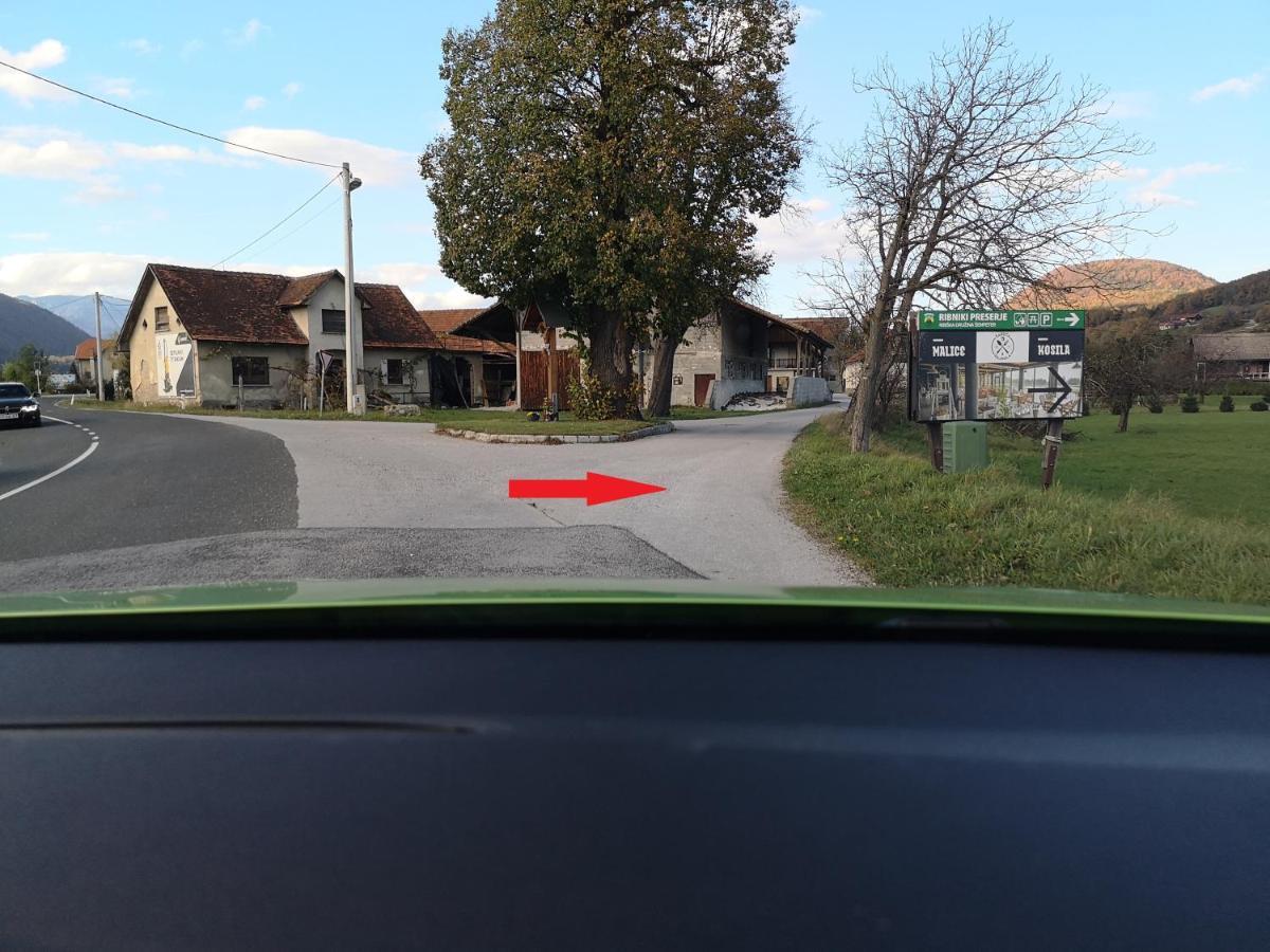 Guesthouse Braslovce - Celje ภายนอก รูปภาพ
