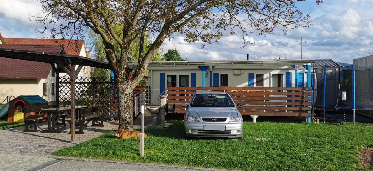 Guesthouse Braslovce - Celje ภายนอก รูปภาพ